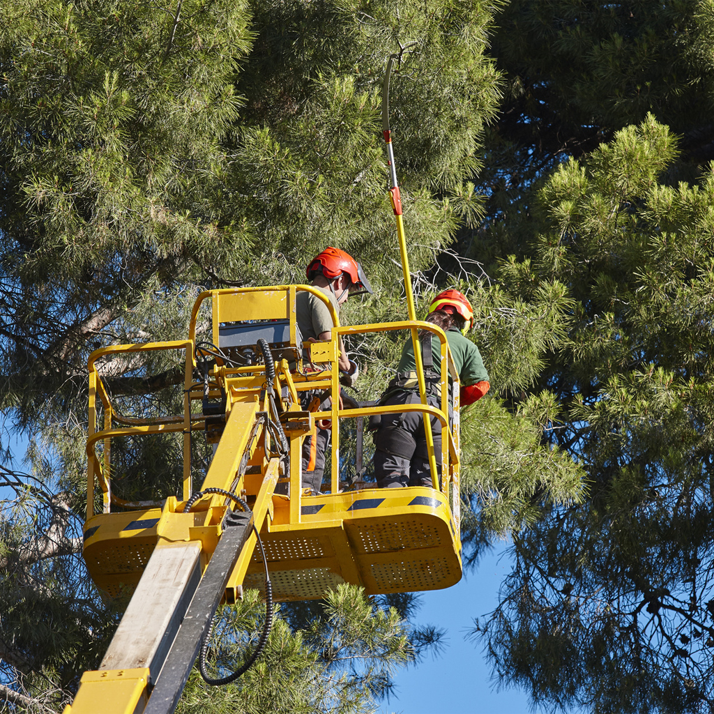 image_secteur_agriculture_foret