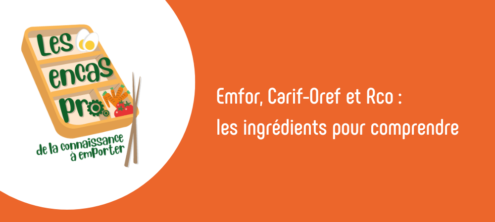 Encas pro Emfor, Carif-Oref et Rco : les ingrédients pour comprendre, Bourgogne-Franche-Comté