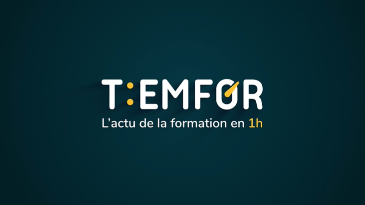 T'EMFOR - Le Conseil en Evolution Professionnelle (Cep) en Bfc pour les actifs du secteur privé - Replay