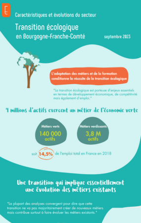 Infographie secteur - Transition écologique