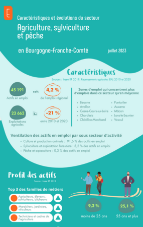 Infographie secteur - Agriculture, sylviculture et pêche