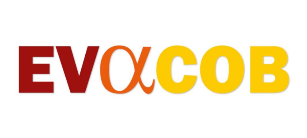 Évaluer les compétences de base et objectiver l’illettrisme : EvaCob