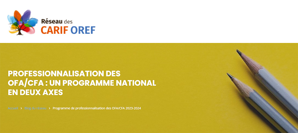 Professionnalisation des Ofa-Cfa : un programme national en deux axes
