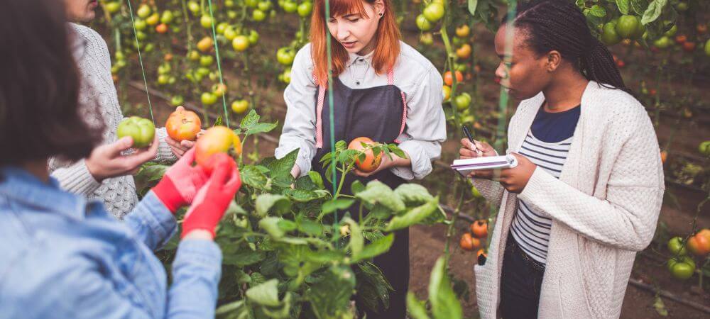 Jeunes métier agricole